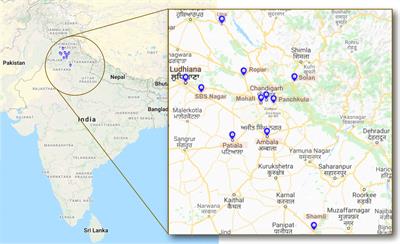 Evaluation of environmental Mucorales contamination in and around the residence of COVID-19-associated mucormycosis patients